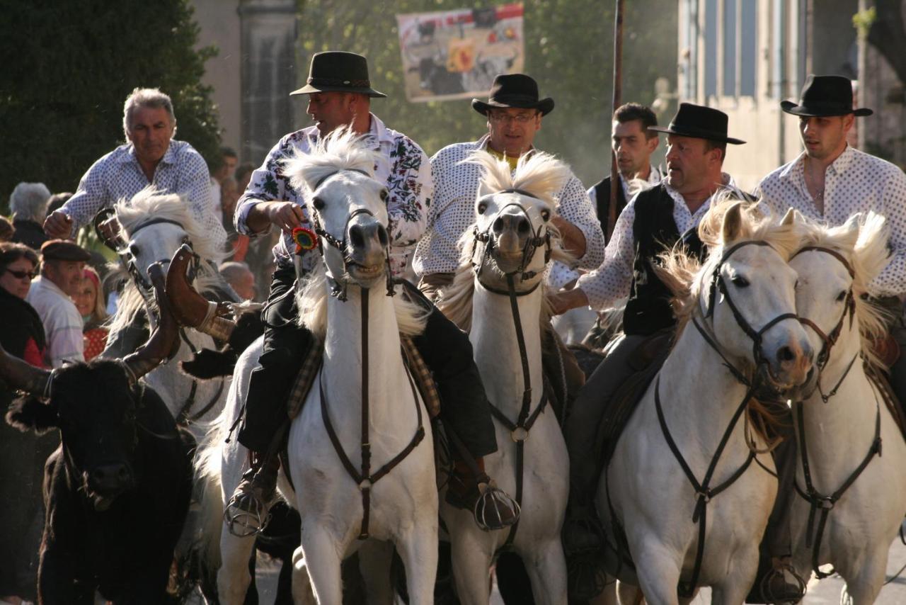 Gite De Vacances En Camargue ☆☆Nn Vauvert Esterno foto